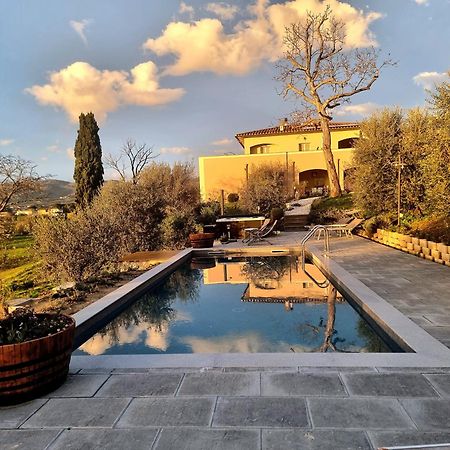 The Olive Grove In Tuscany Toiano Extérieur photo