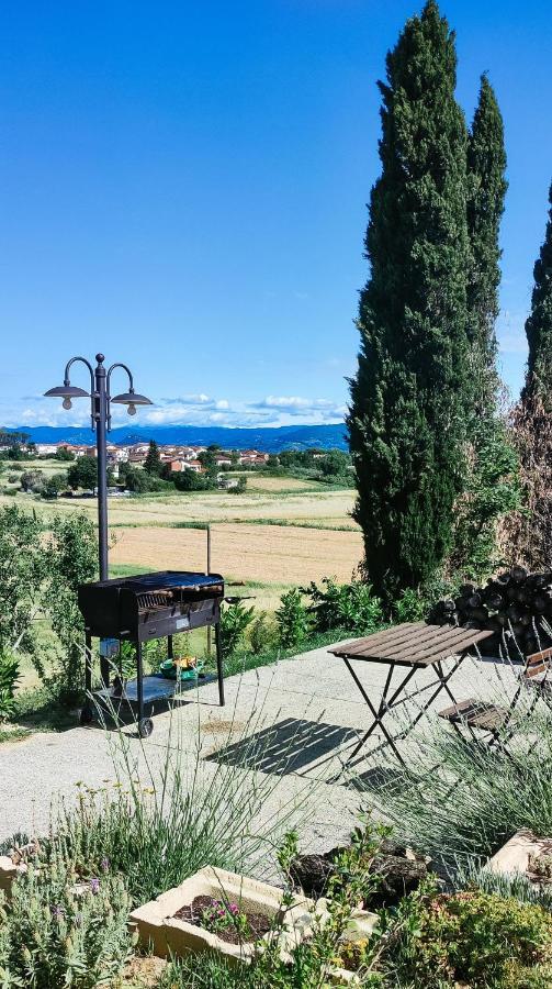 The Olive Grove In Tuscany Toiano Extérieur photo