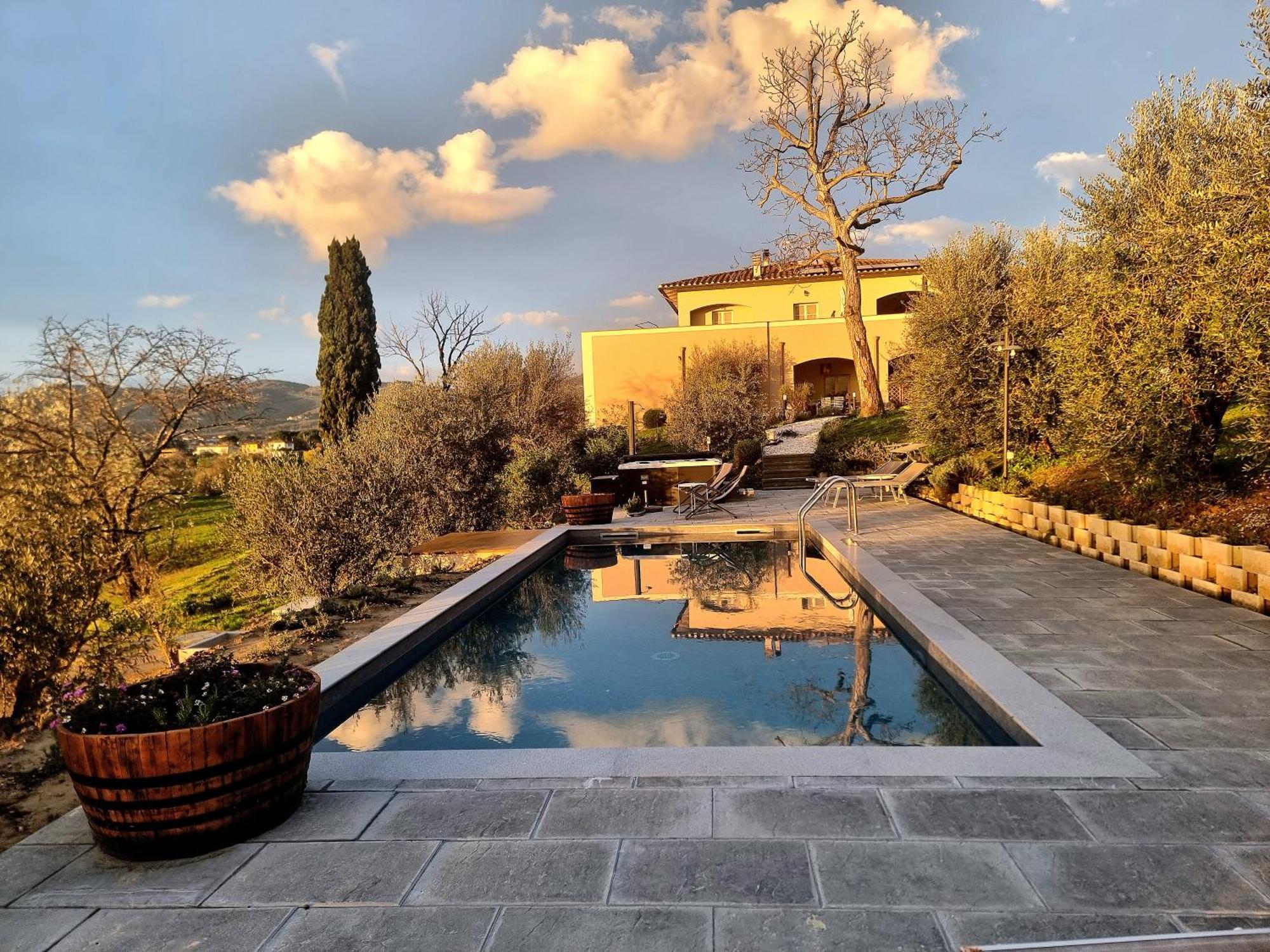 The Olive Grove In Tuscany Toiano Extérieur photo