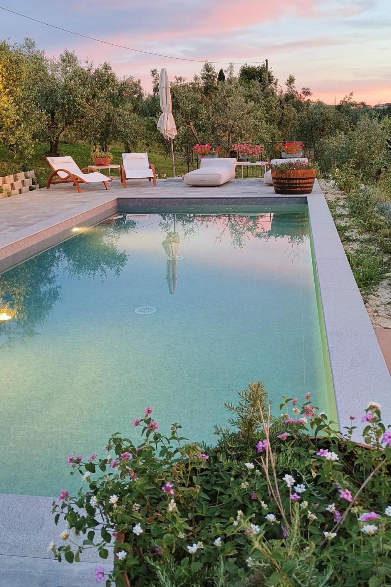 The Olive Grove In Tuscany Toiano Extérieur photo